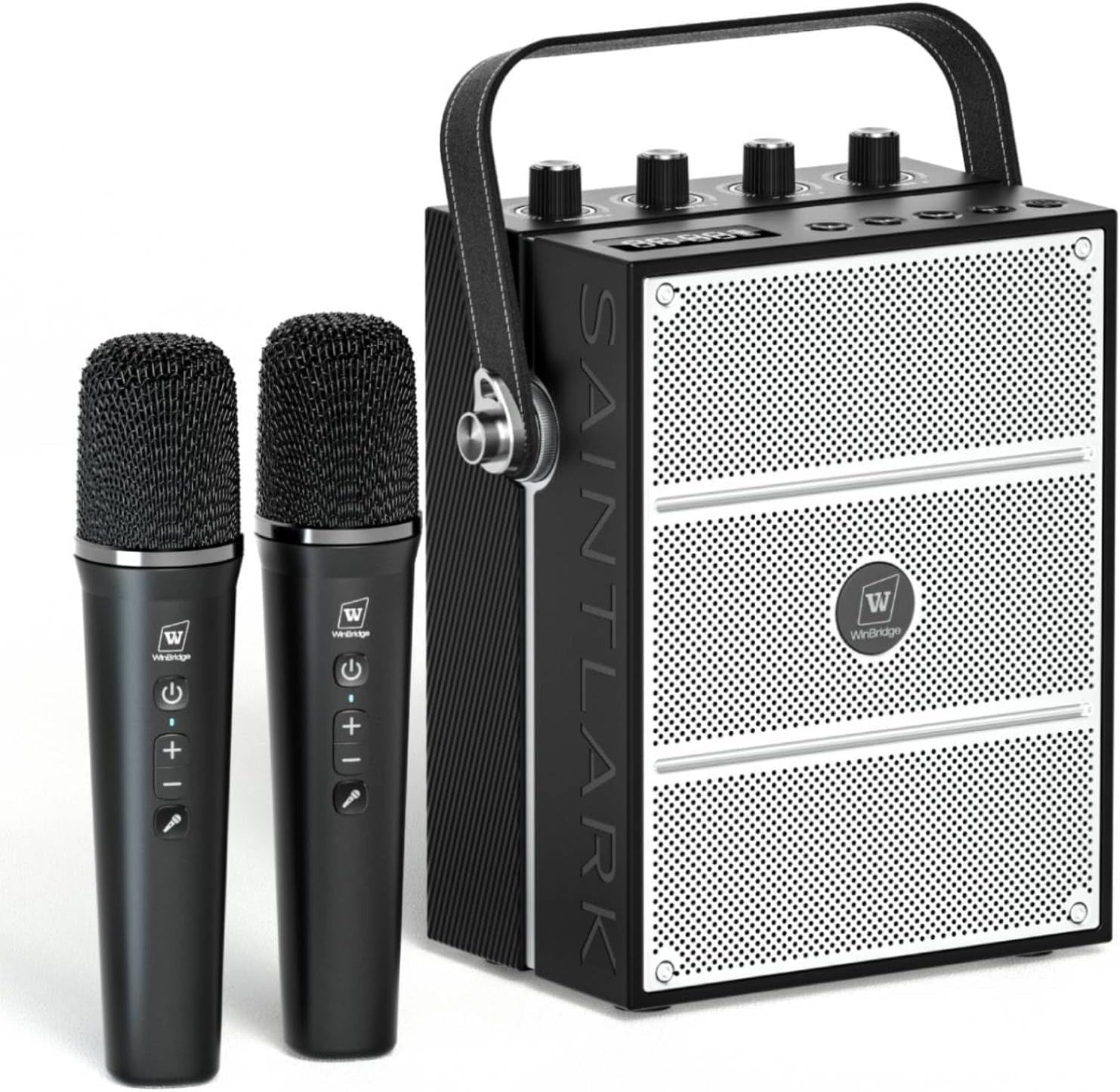100W Powerful Voice Amplifier with 2 Wireless Microphones